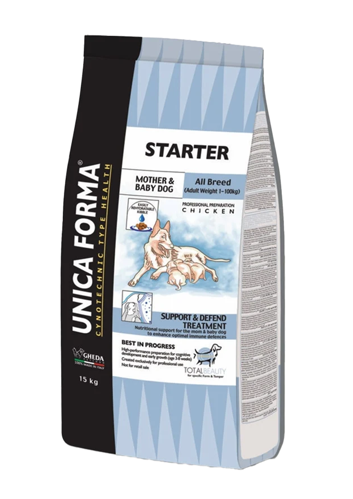 Starter